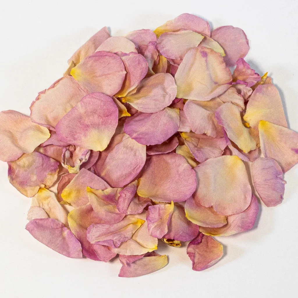 Pink Pastel Dried Rose Petals