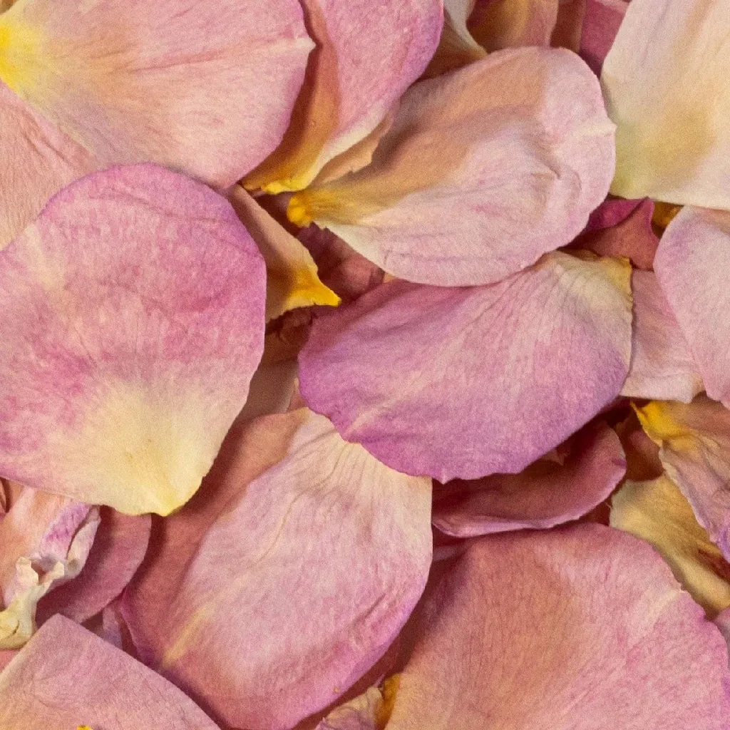 Pink Pastel Dried Rose Petals